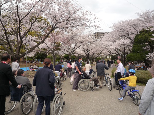 2014ohanami