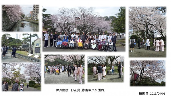 2015ohanami0401