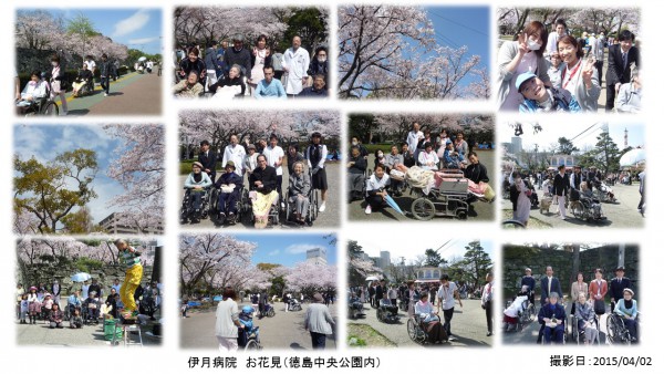 2015ohanami0402